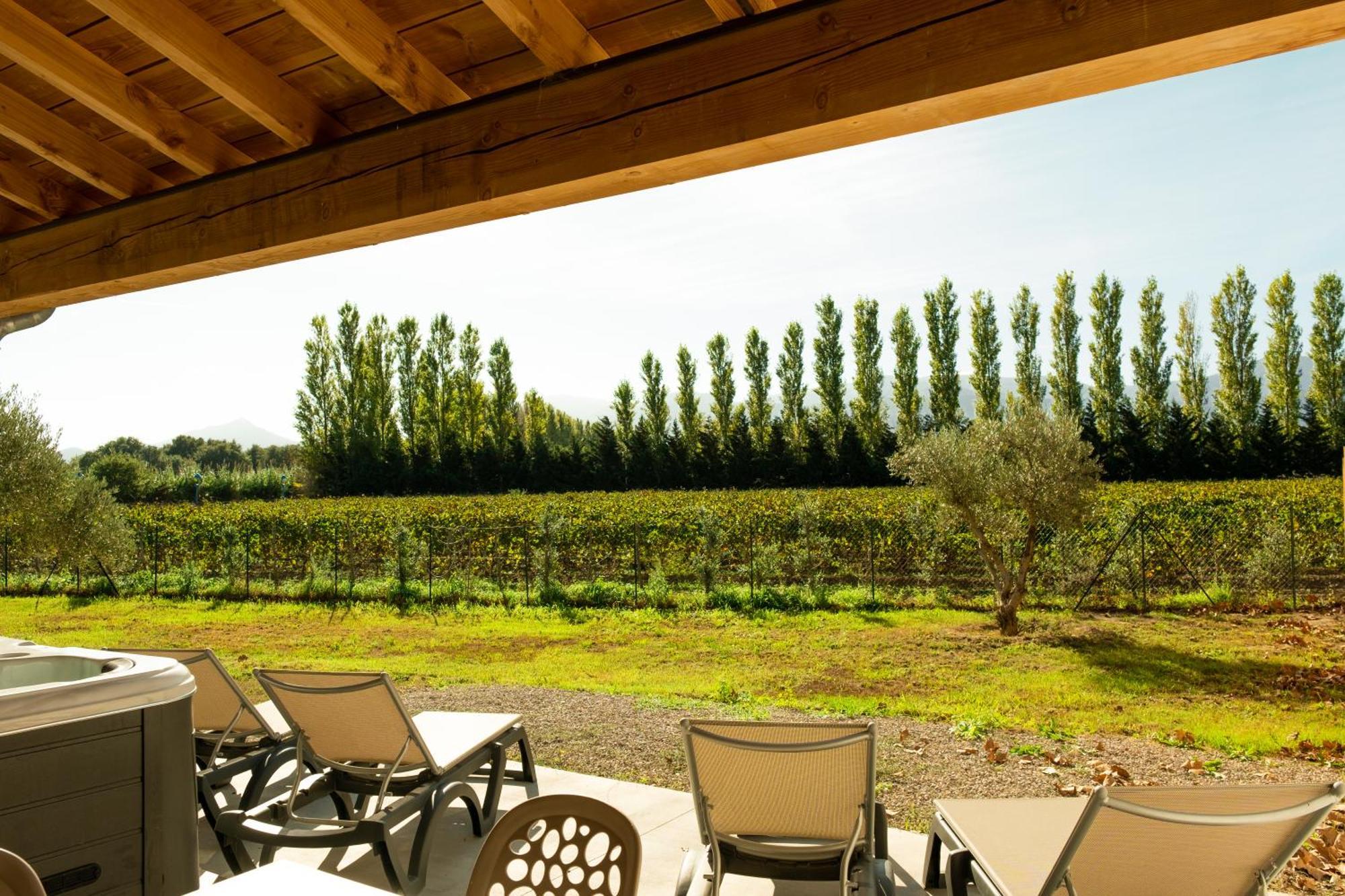 Domaine Saint Thomas Villa Argeles-sur-Mer Ngoại thất bức ảnh