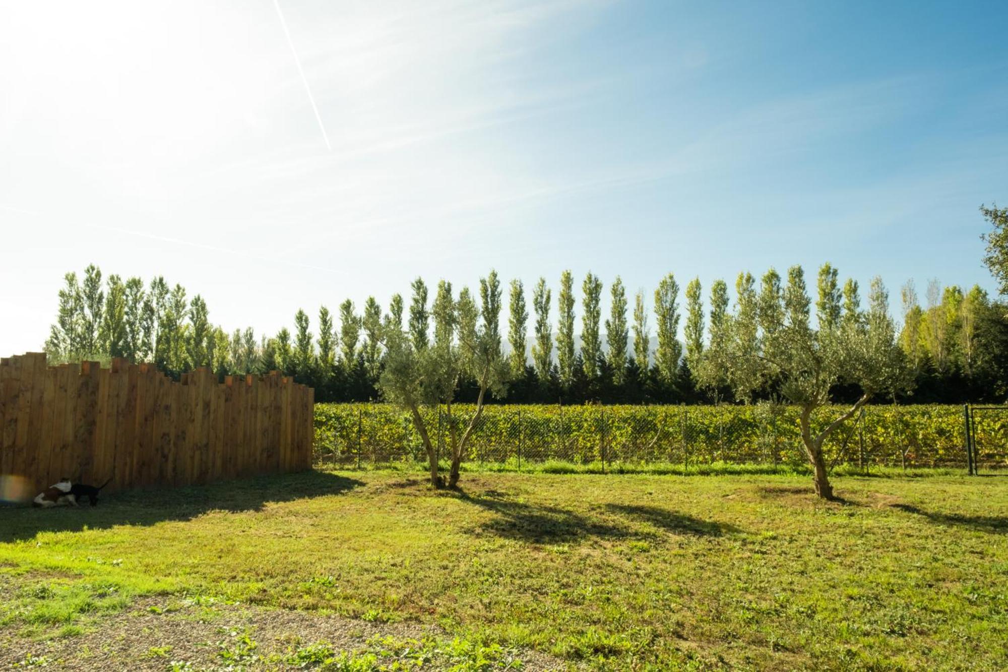Domaine Saint Thomas Villa Argeles-sur-Mer Ngoại thất bức ảnh