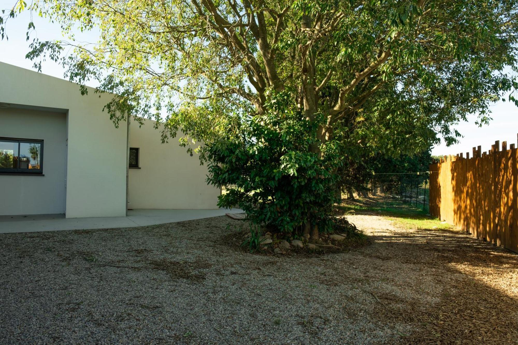 Domaine Saint Thomas Villa Argeles-sur-Mer Ngoại thất bức ảnh