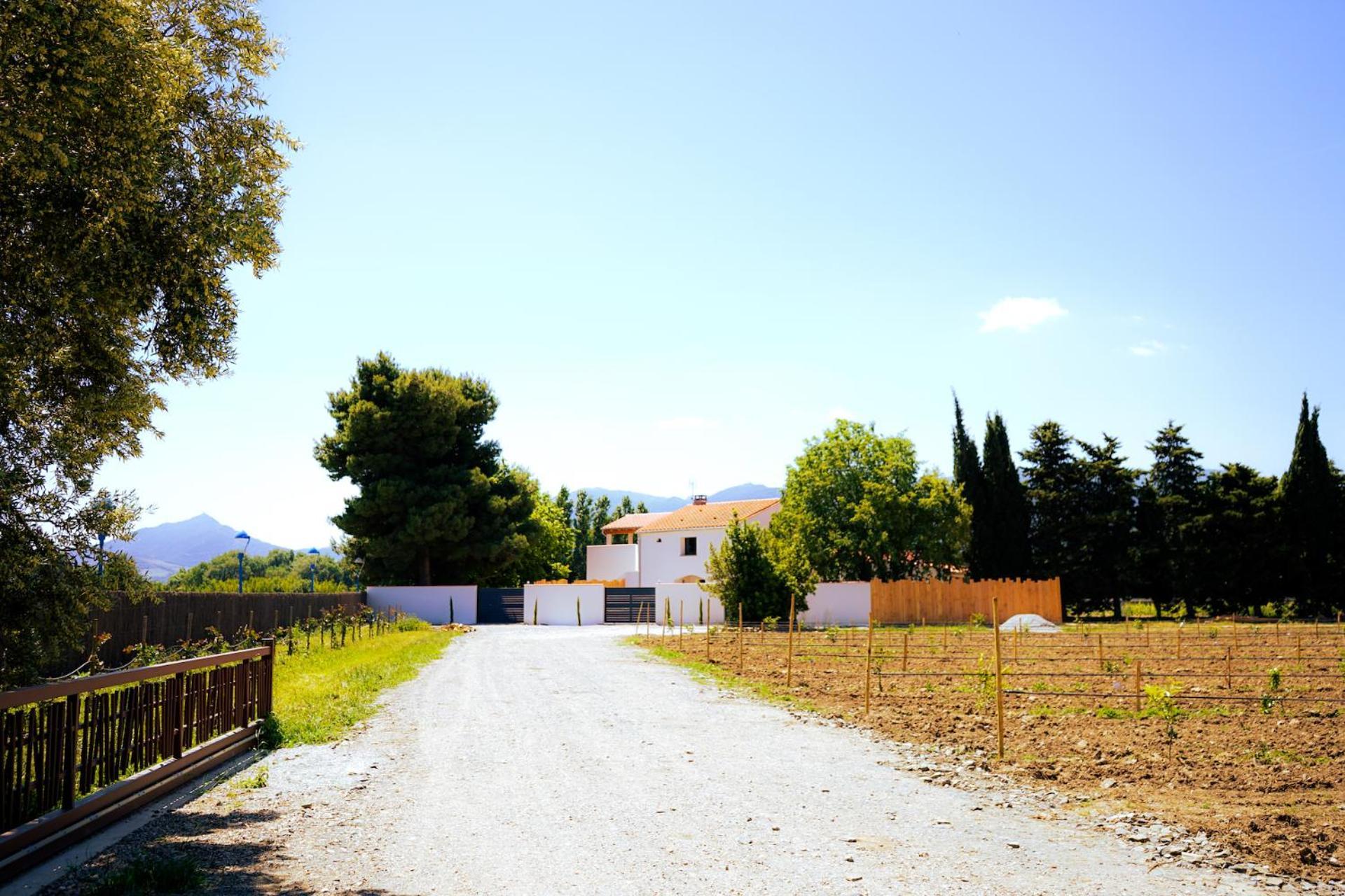 Domaine Saint Thomas Villa Argeles-sur-Mer Ngoại thất bức ảnh
